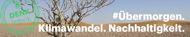 Ein einzelner Baum in der Wüste von Oman
