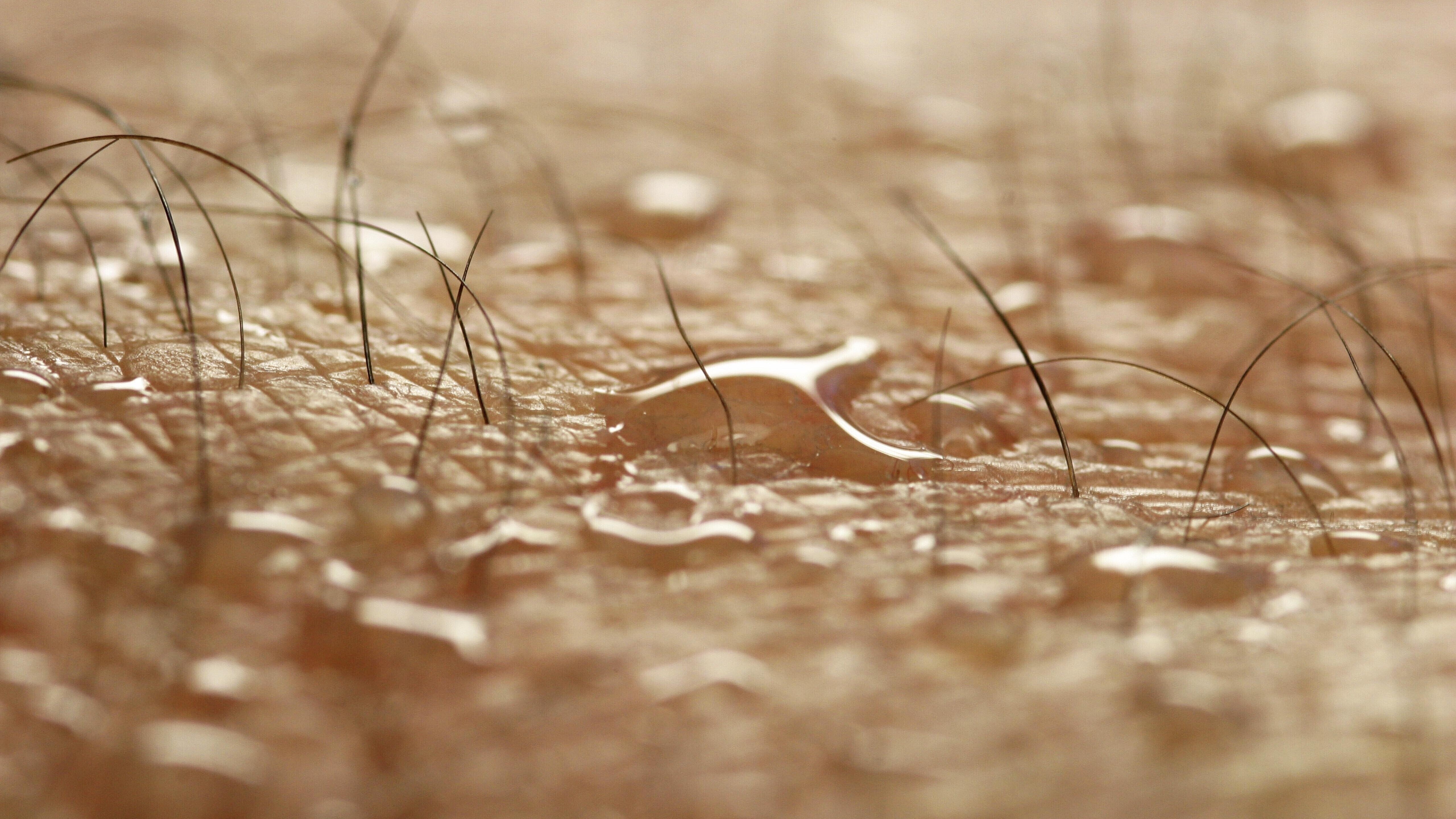 Nahaufnahme der menschlichen Haut mit Schweißperlen, Haaren und Poren