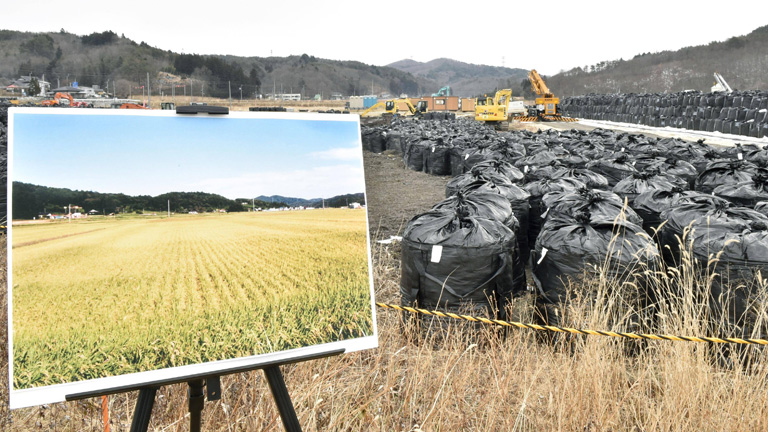 Abfall von Fukushima neben Vorher-Bild