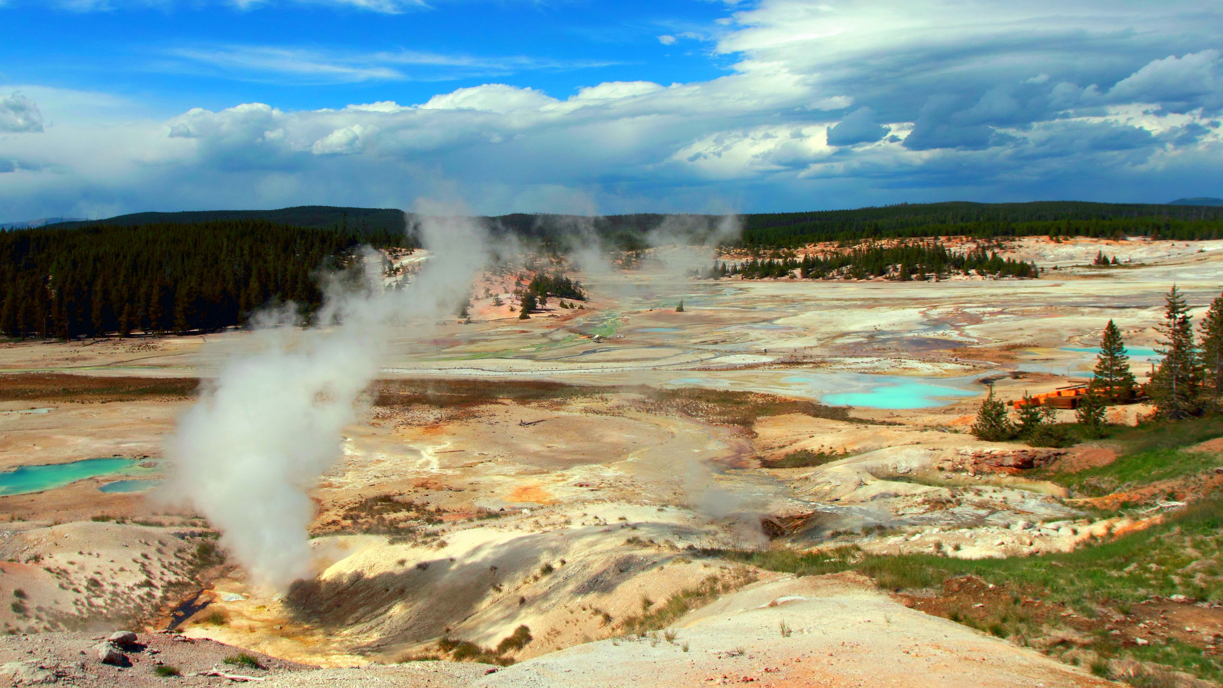 Blick auf den Yellowstone National Park in den USA mit Geysiren.