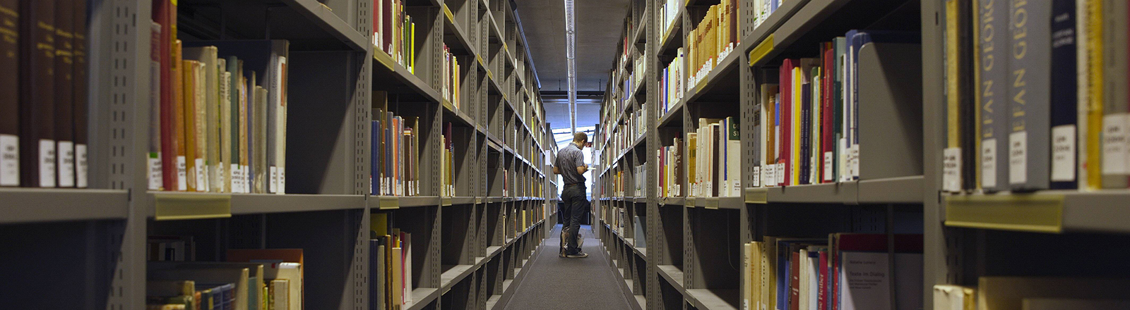 Blick in eine Bibliothek. Rechts und links stehen lange Regalreihen mit Büchern. Am Ende des Ganges steht eine Person.
