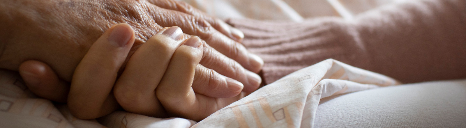 Die Hand einer jüngeren Person hält die Hand einer älteren Person.