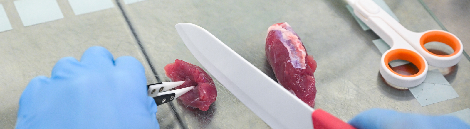 Fleisch aus dem Labor