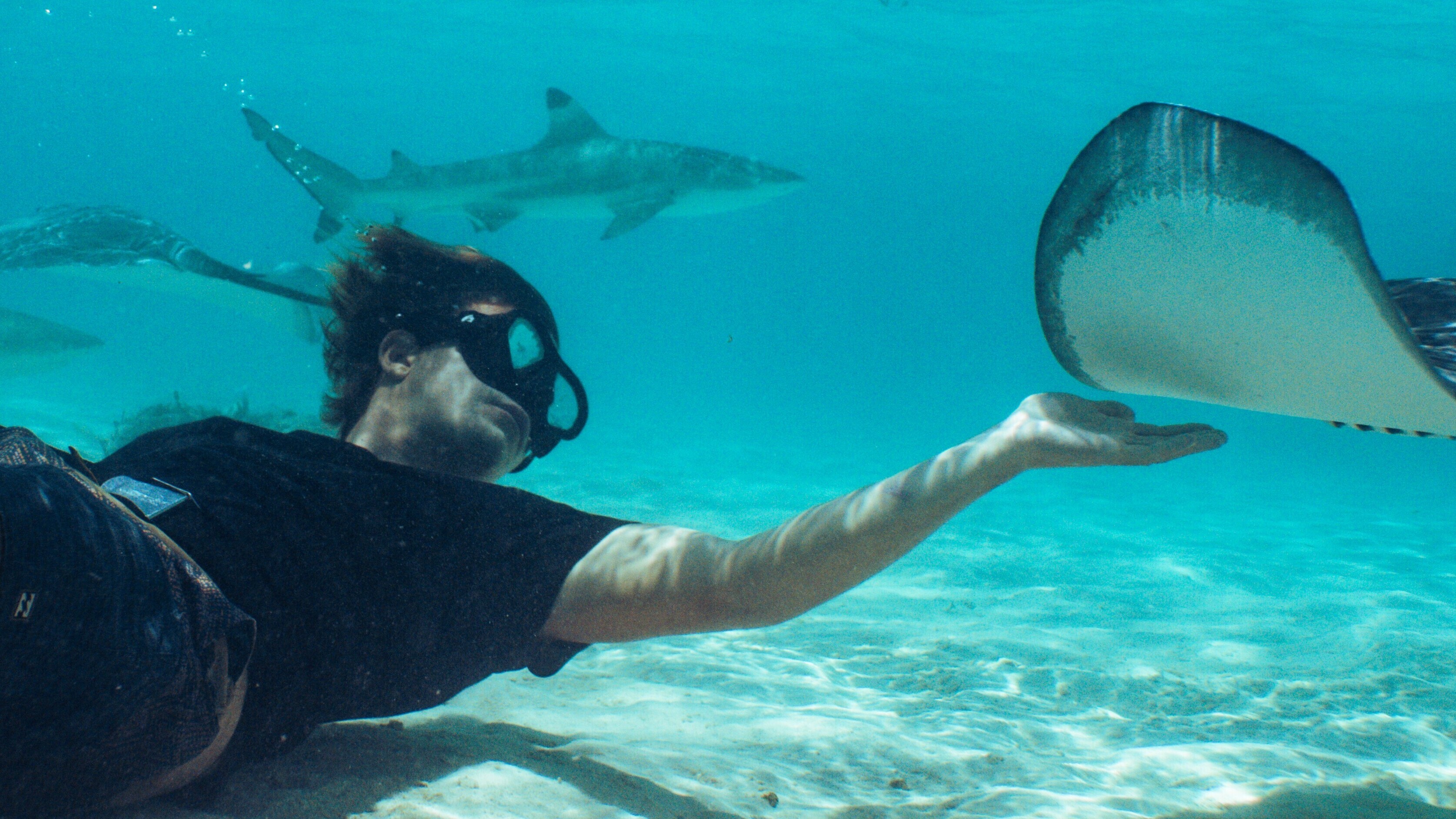 Vincent Goymann streckt beim Tauchen seine Hand in Richtung eines Rochens