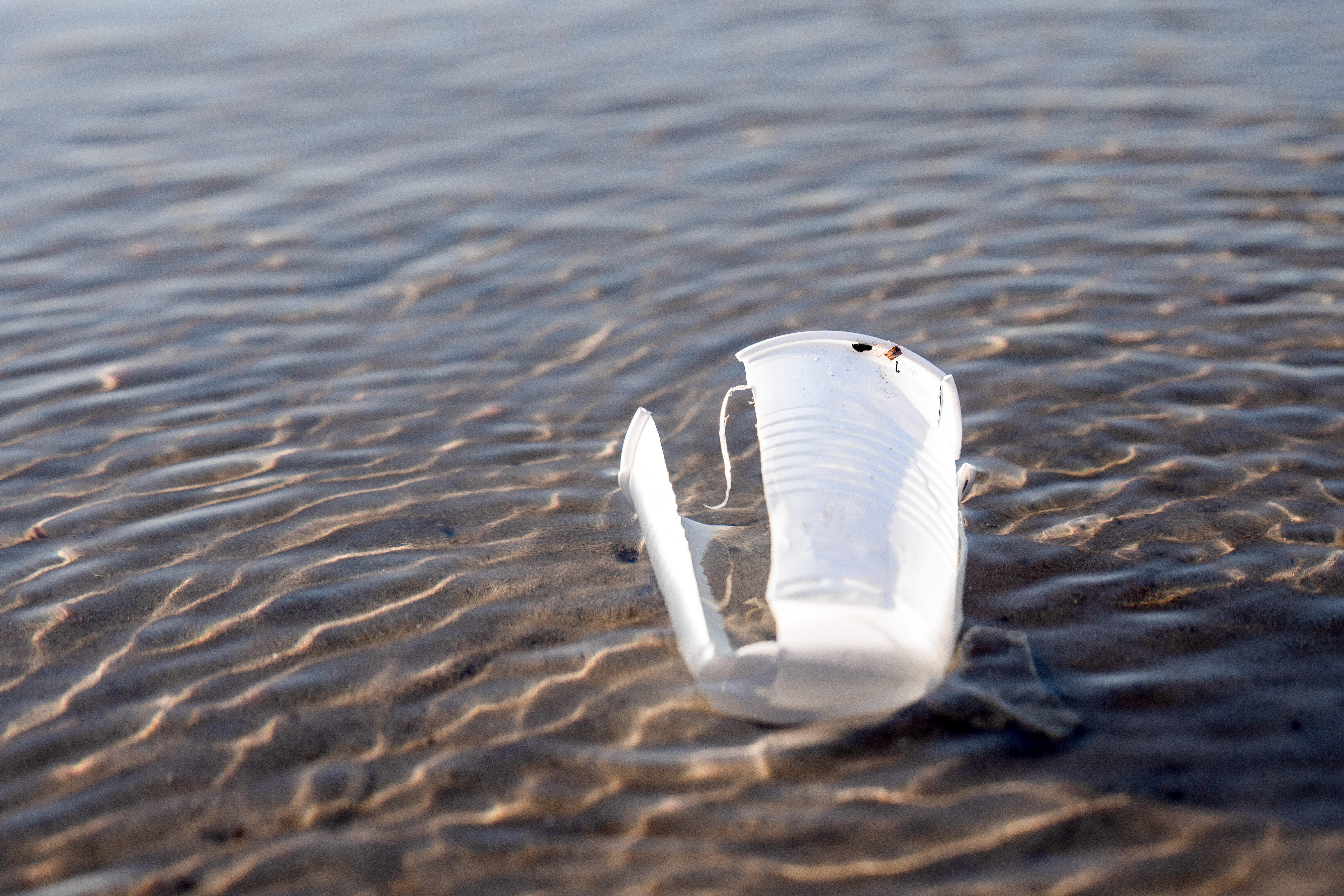 Ein kaputter Plastikbecher liegt im Wasser im Sand.