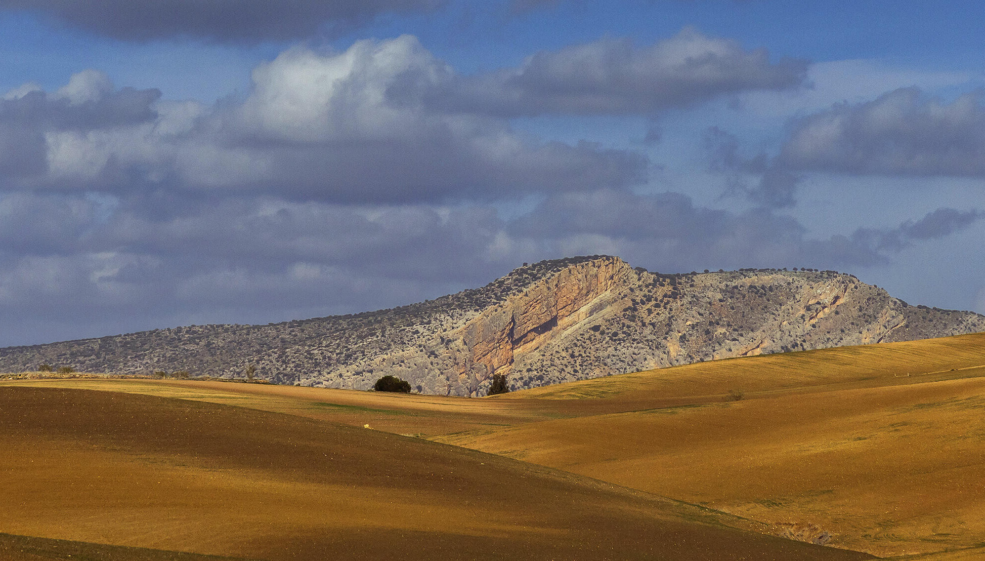 Landschaft in Andalusien