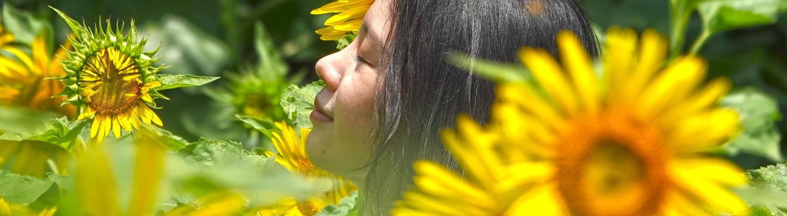Eine Frau mit einem zufriedenen Gesichtsausdruck inmitten von Sonnenblumen