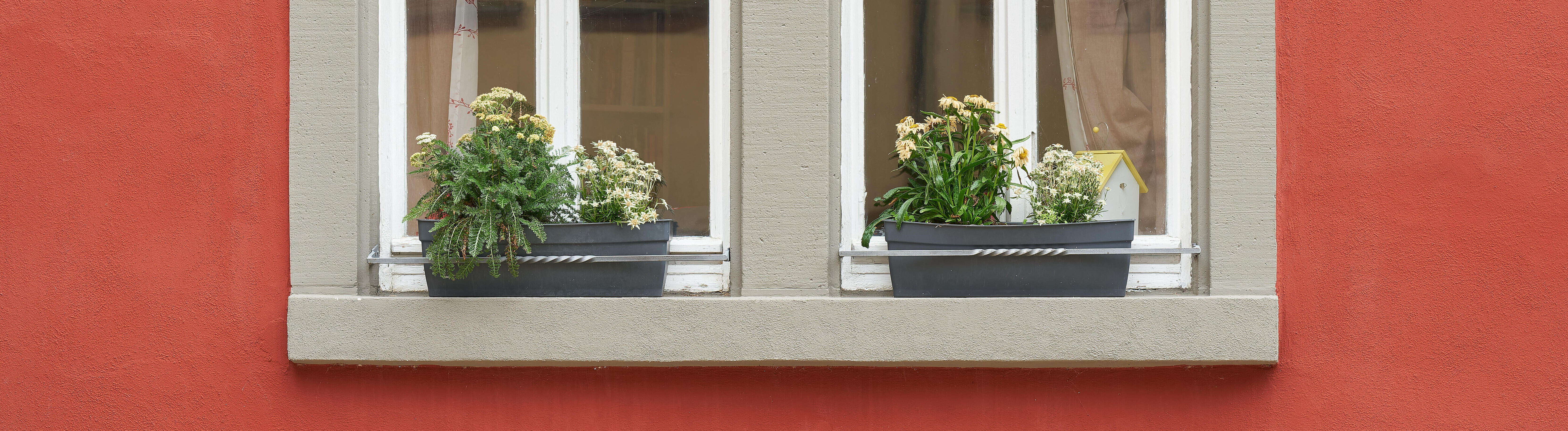 Fenster eines roten Hauses mit Blumen auf dem Fensterbrett