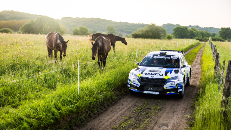 Biomasse in Bewegung: Menschen in einem Rennauto und Pferde auf der Weide