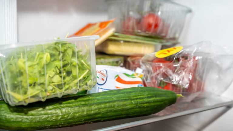 In einem Kühlschrank liegen Gurke, Salat, Tomaten, Käse und weitere Lebensmittel verpackt.