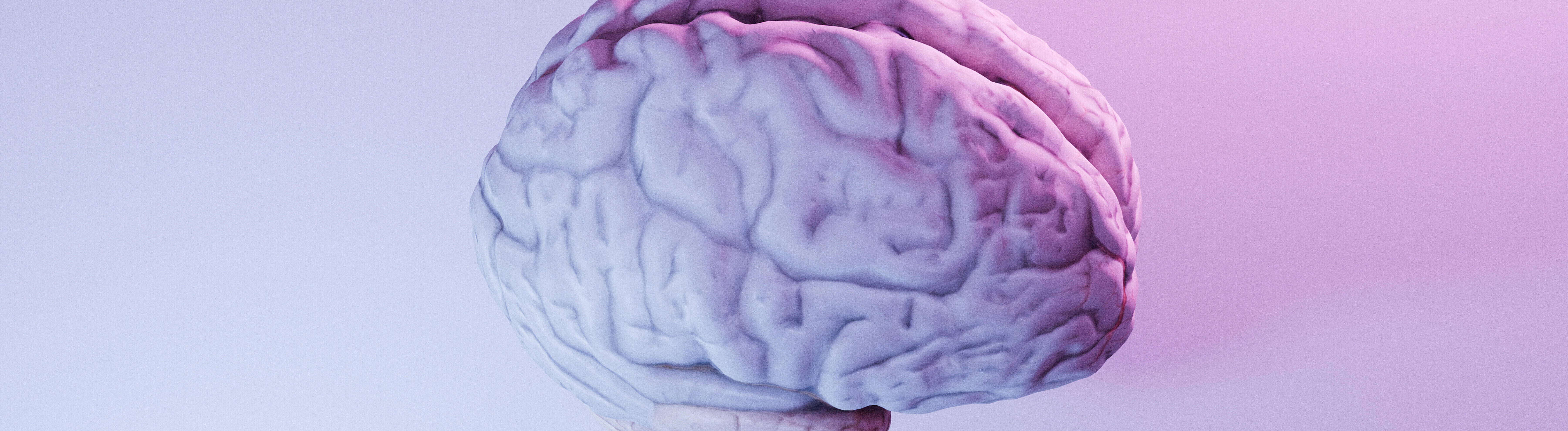 Illustration eines Gehirns mit sanfter lila und rosa Beleuchtung