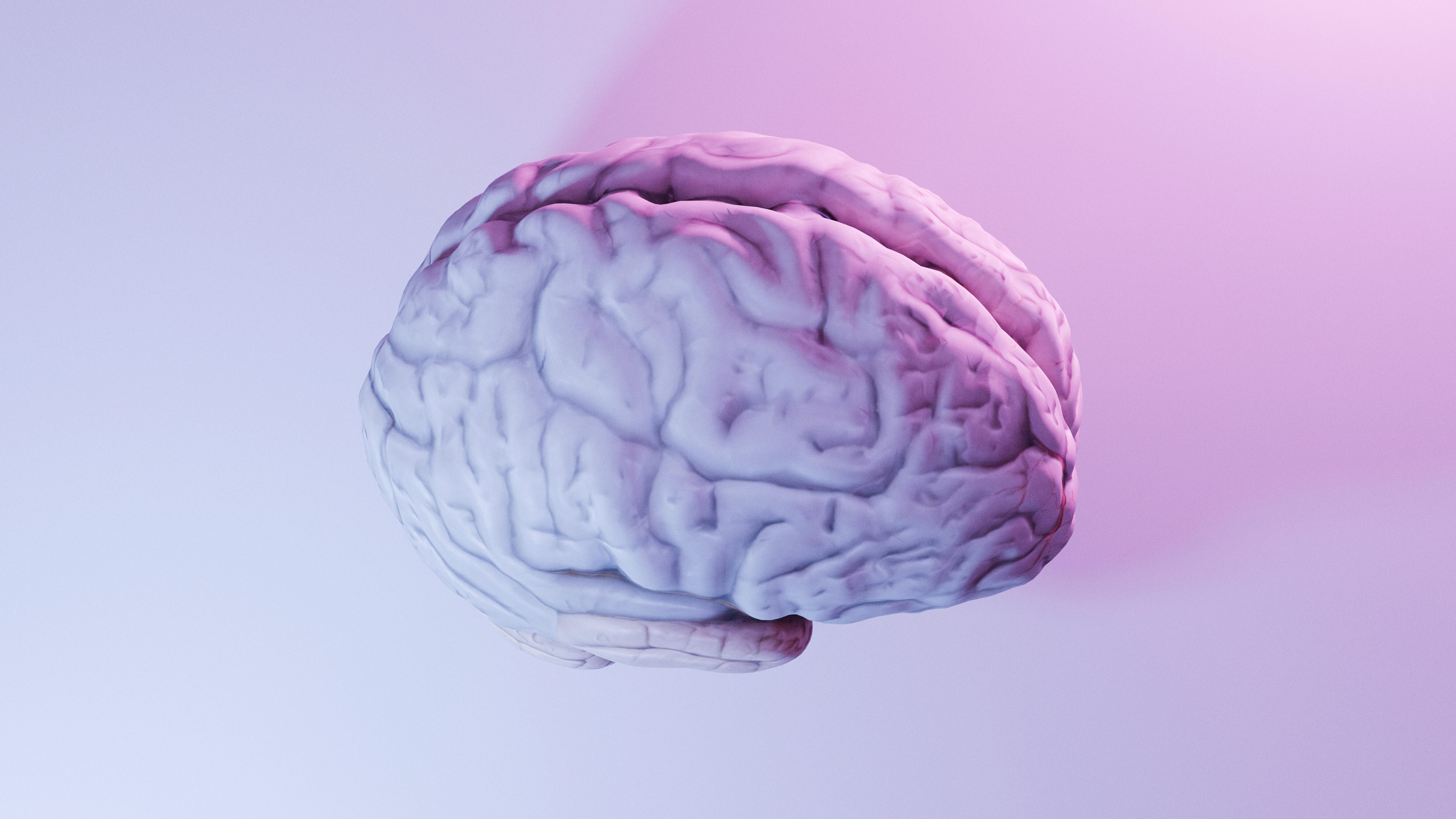 Illustration eines Gehirns mit sanfter lila und rosa Beleuchtung