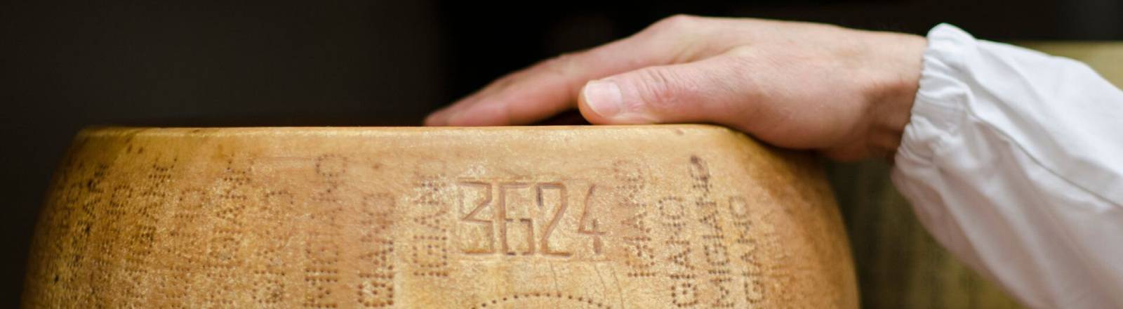 Eine Person legt die Hand auf einen Parmesanlaib