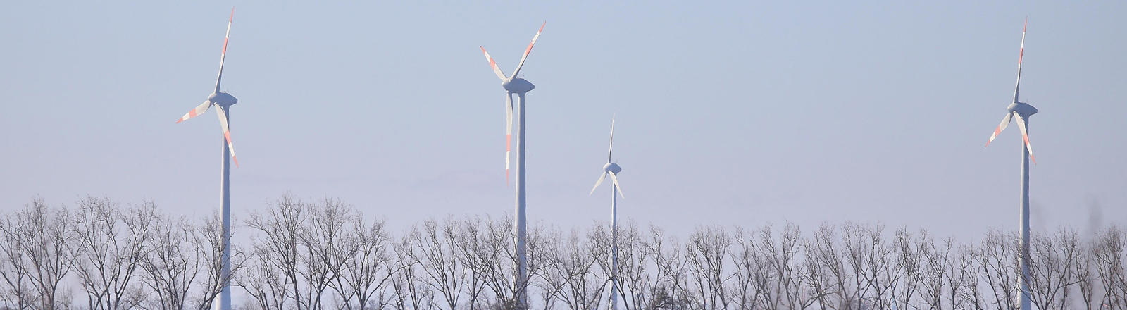 Magdeburg, Sachsen-Anhalt, Deutschland: Windräder beim geplanten Gewerbegebiet Eulenberg, das ursprünglich für ein Intel-Werk vorgesehen war