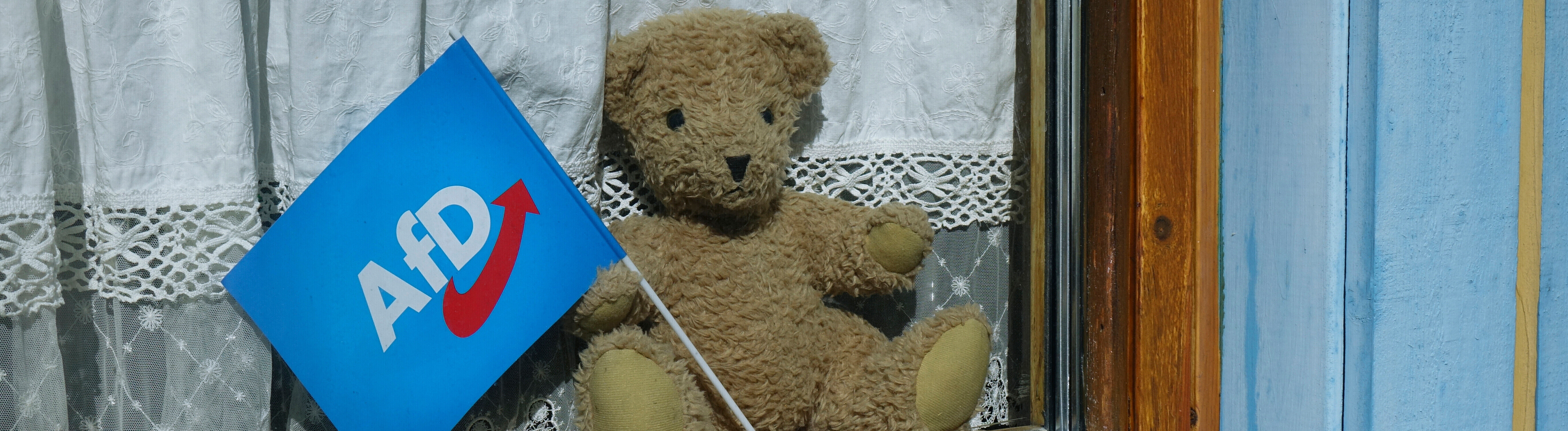 27.05.2026, In einem Fenster befindet sich ein Teddybaer mit einem AfD Faehnchen.