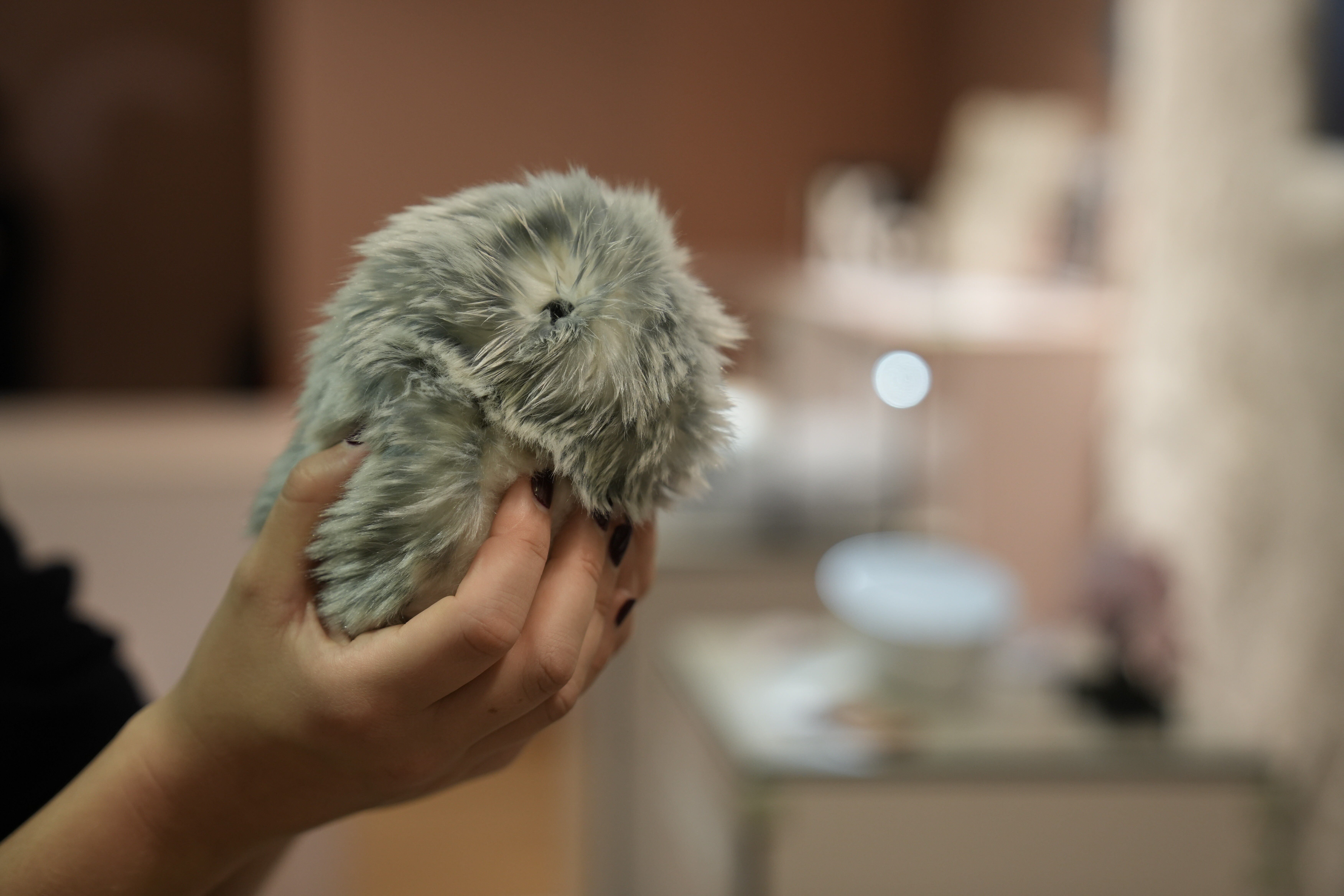 Ein "Moflin" im Berliner KaDeWe. "Moflins" sind Spielzeug-Tiere aus Japan, die mit Hilfe von künstlicher Intelligenz ganz unterschiedliche Charaktere annehmen können.