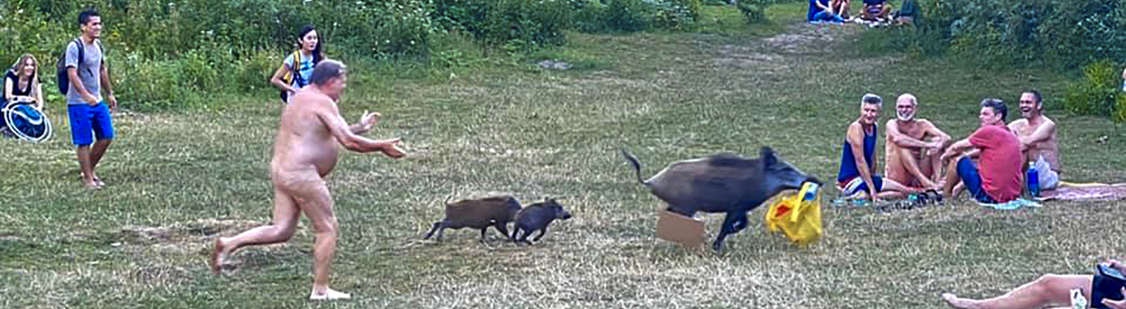 Nackter Mann rennt am Teufelsee einer Horde Wildschweine hinterher