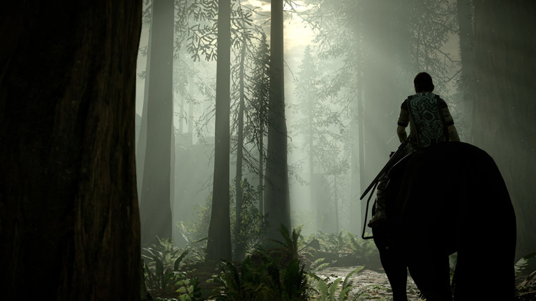 Eine Szene aus dem Spiel "Shadow of the Colossus".