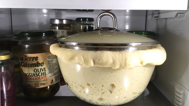 Ein aufgegangener Sauerteig im Kühlschrank