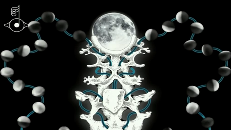 Screenshot aus der App Biophilia von Björk
