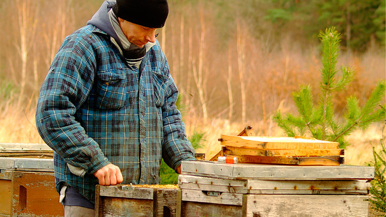 Dete Papendieck an seinen Bienenstöcken