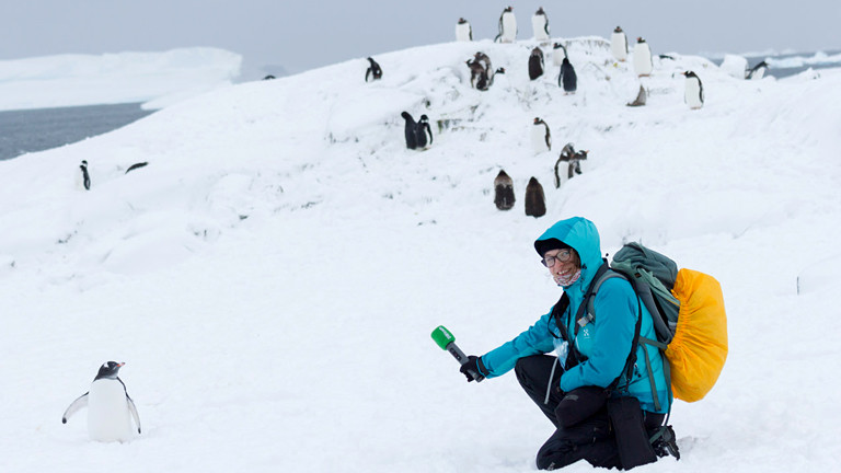 Frau mit einem Pinguin