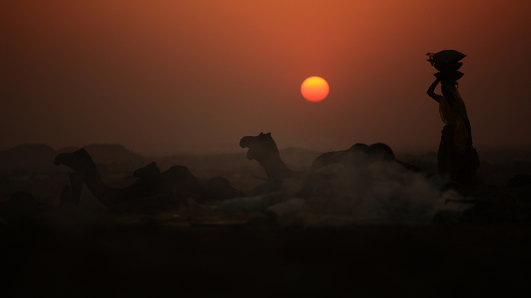 Eine Frau trägt im Gegenlicht des Sonnenuntergangs trägt Kameldung auf dem Kopf.