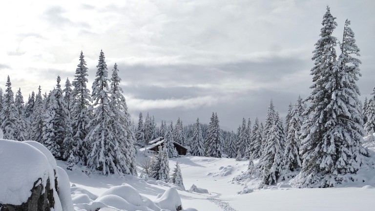 Die eingeschneite Holzhütte auf 2000 Metern.