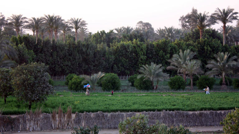 Bauern bestellen Felder in Abusir.