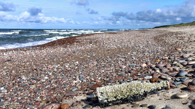 Kieselstrand mit blauem Himmel. Auf den Steinen liegt eine Flasche überzogen mit kleinen Muscheln.