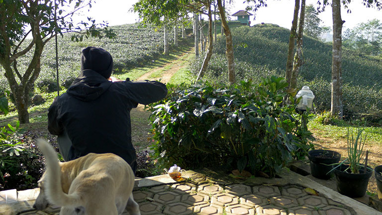 Plantage Java