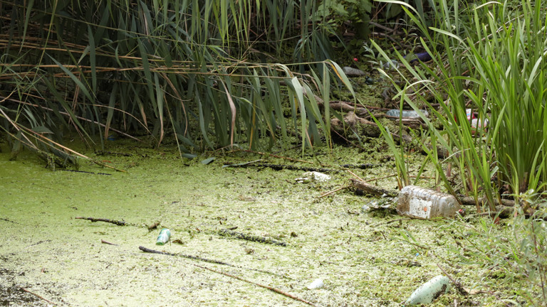 Plastikmüll am Wasser