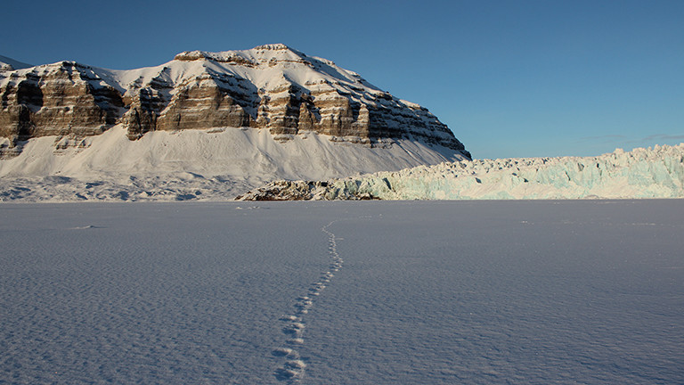 Blick auf verschneite Berge und unglaublich viel Schnee mit einer Spur von Fußabdrücken; das Foto von der Arktis hat Sybille Klenzendorf gemacht.
