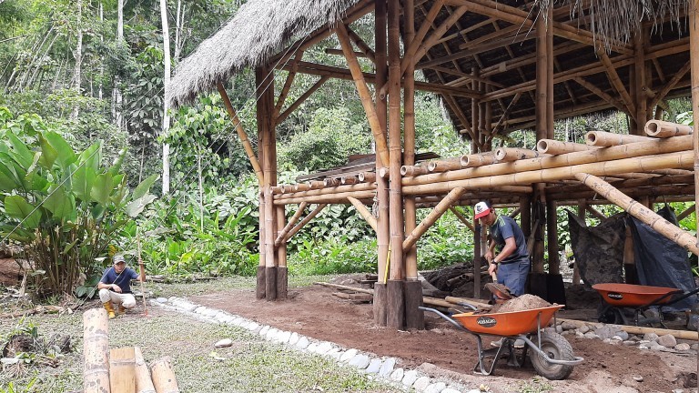 Theresa und ihr Freund Tovias bauen nachhaltige Unterkünfte im Regenwald
