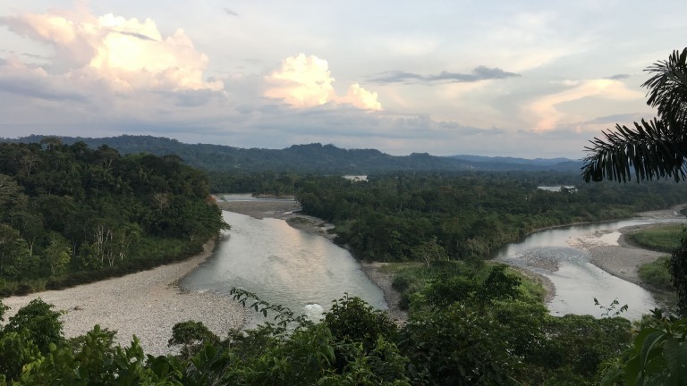 Fluss in Ecuador, Regenwald
