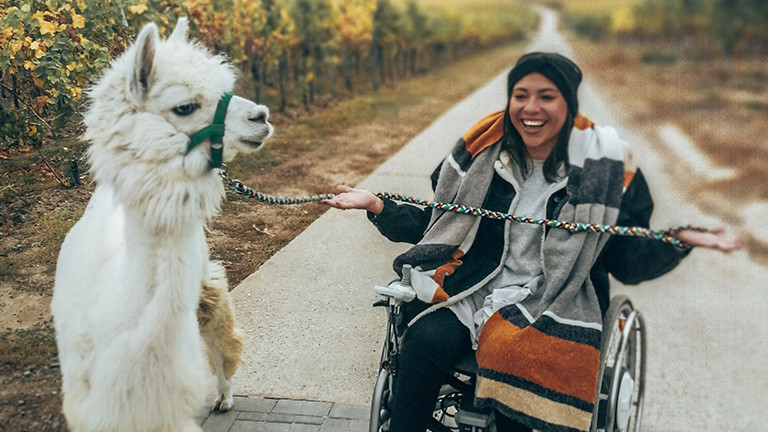 Mit Lama am Rande des Pfälzer Waldes