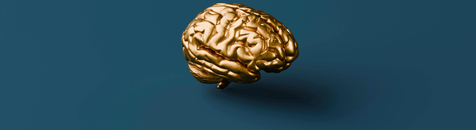 Ein goldenes Gehirn