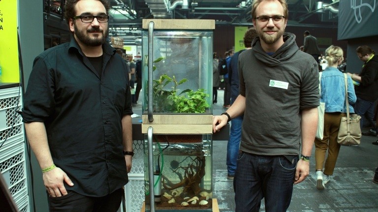 05 Martin und Frank kombinieren in ihrem aquaponischen Garten die Fisch- und Pflanzenzucht