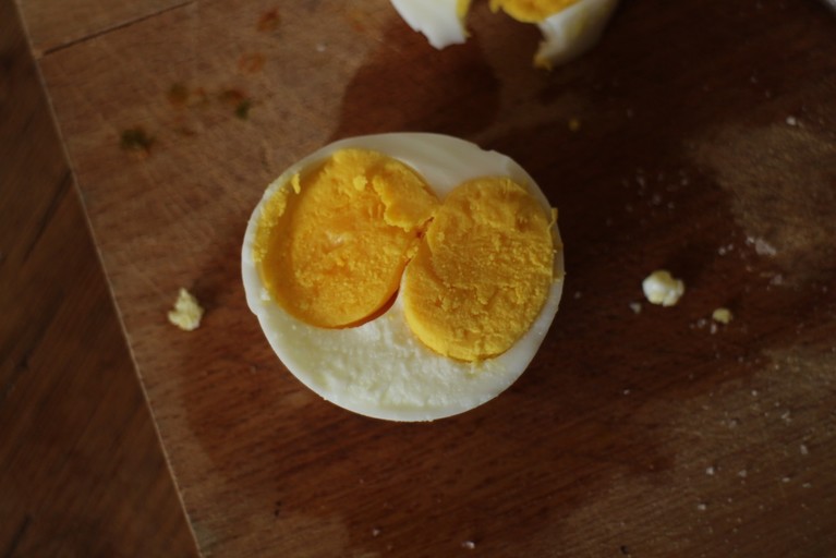Eier