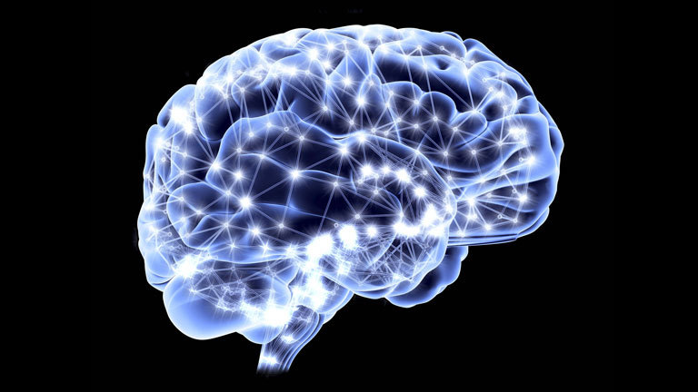 Darstellung des Gehirns