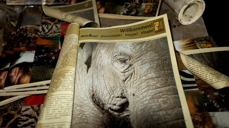 Eine alte Zeitung im Safaripark Gänserndorf.