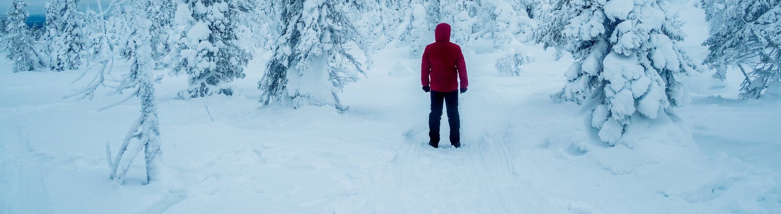 In einer schneebedeckten, kargen Landschaft steht ein Mensch in einer roten Winterjacke und schwarzen Hose gegenüber von Nadelbäumen. Die Person steht mit d