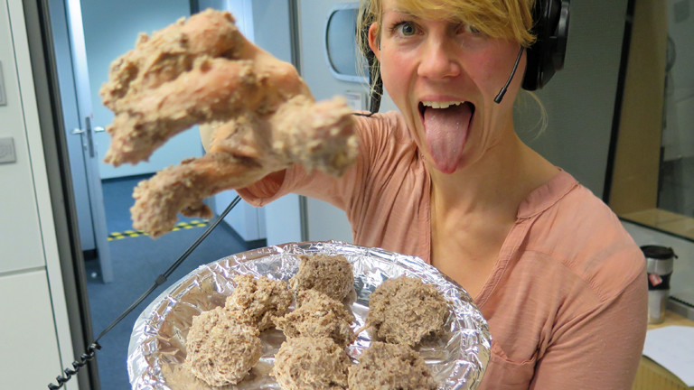 DRadio-Wissen-Reporterin Nora Hespers backt am 20.12.2014 in Studio Cake-Pops – Kuchen am Stiel und ohne Backofen.