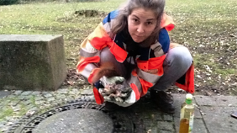 Biologin Franziska Baur rettet ein kleines Eichhörnchen.