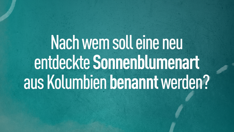 Nach wem soll eine neu entdeckte Sonnenblumenart aus Kolumbien benannt werden?