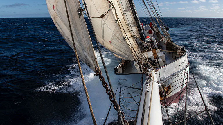 Mit dem Segelschiff Avontuur kommen die Kaffeebohnen nach Deutschland