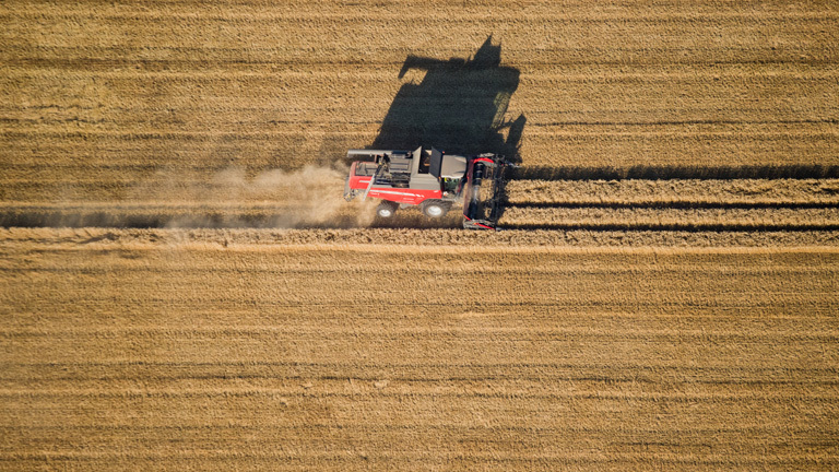 Ein Traktor mäht ein Feld.
