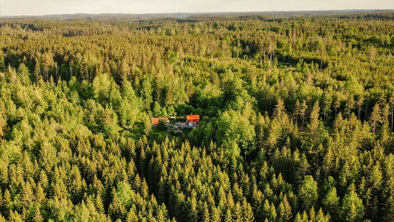 Das Schwedenhaus von Outdoor-Bloggerin Franziska Consolati und ihrem Mann Felix.
