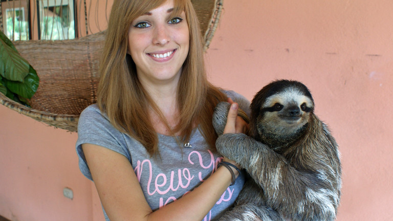 Ein Faultier im Sloth Sanctuary.