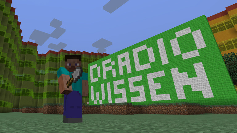 Das Schöne an Minecraft ist: Man kann so ziemlich alles bauen, was man sich vorstellen kann.